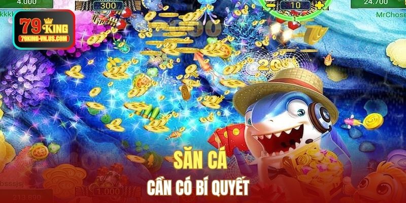 Săn cá cần có bí quyết